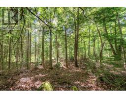 0 BUCKSHOT LAKE ROAD, North Frontenac, Ontario