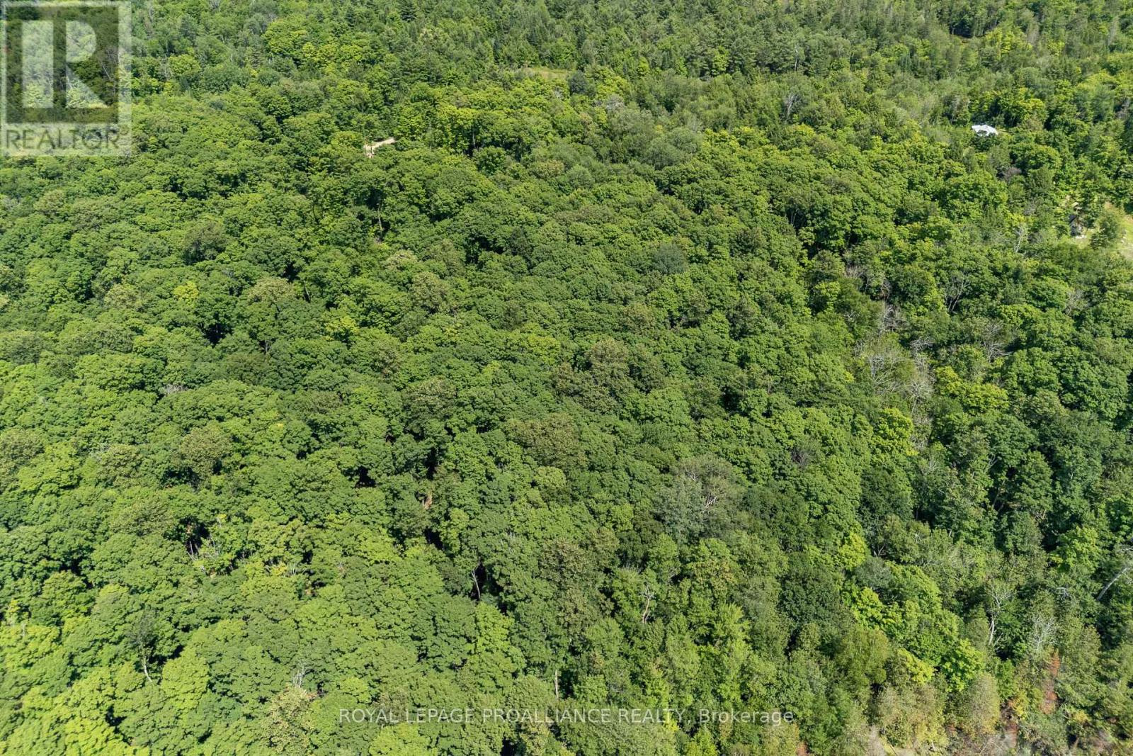 0 Buckshot Lake Road, North Frontenac, Ontario  K0H 2M0 - Photo 10 - X12298222