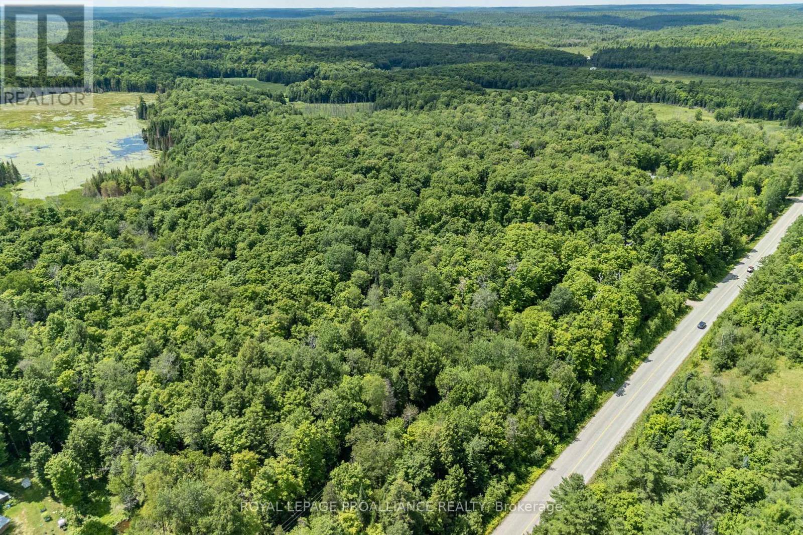 0 Buckshot Lake Road, North Frontenac, Ontario  K0H 2M0 - Photo 14 - X12298222