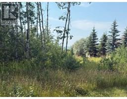 520 Diamond Willow Drive, Lac Des Iles, Ca