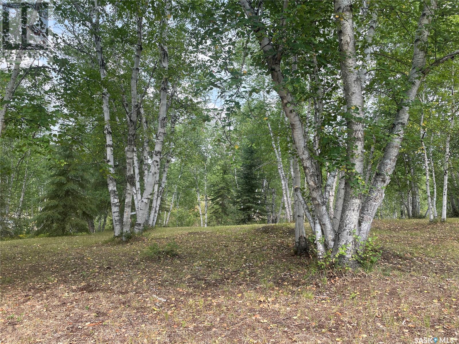 Andrews Way, Sunset Cove, Big River Rm No. 555, Saskatchewan  S0J 0E0 - Photo 2 - SK013819
