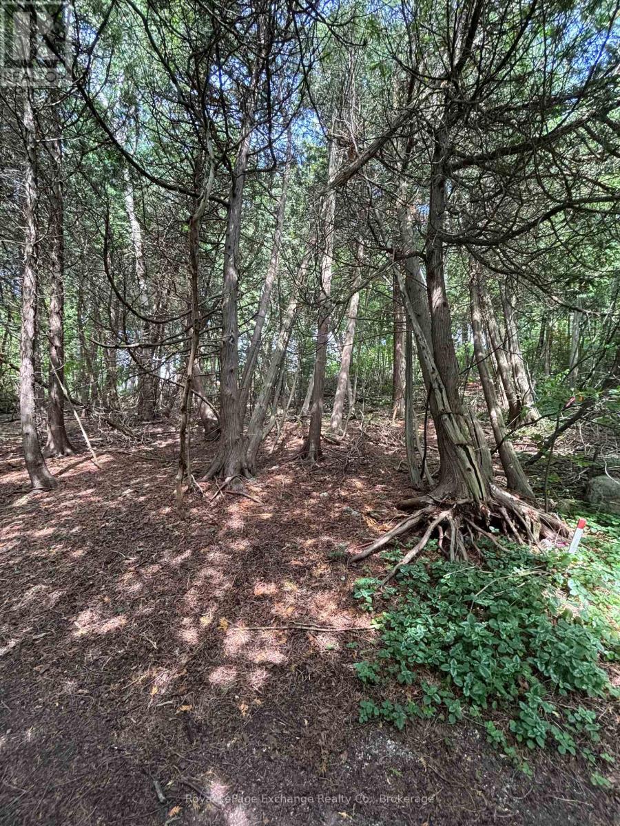 Block14 Birchwood Avenue, Kincardine, Ontario  N0G 2T0 - Photo 6 - X12309593