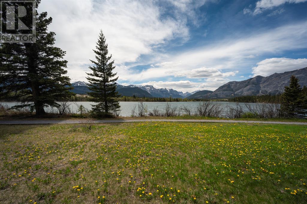25 Bagley Pass, Rural Bighorn No. 8, Alberta  T0L 2C1 - Photo 2 - A2106461
