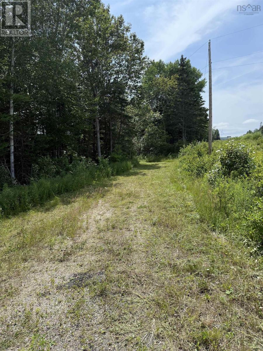 5569 Highway 105 Highway, Port Bevis, Nova Scotia  B0E 1B0 - Photo 3 - 202517794