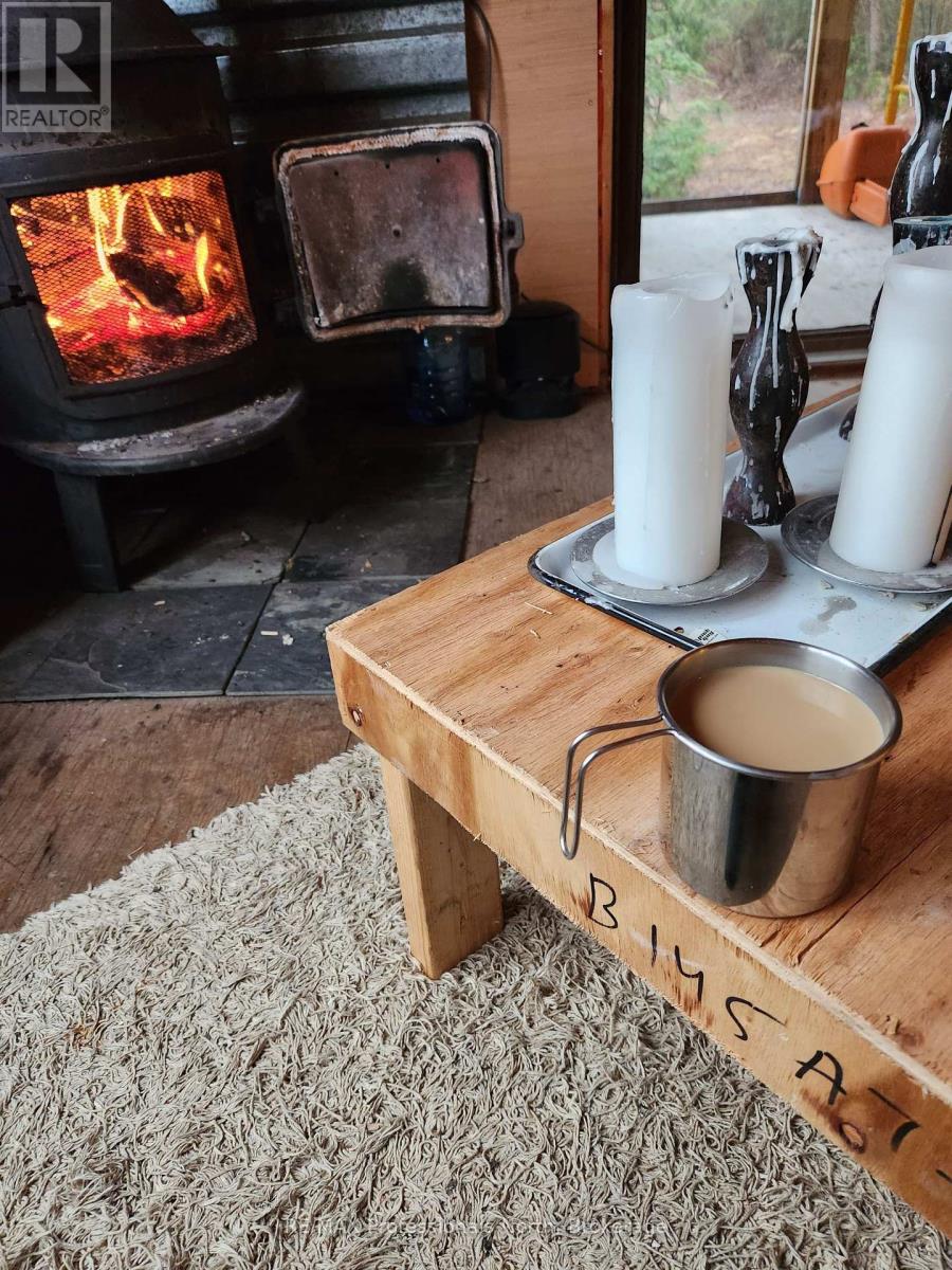 Lot 32 Concession 5, Bracebridge (Oakley), Ontario  P1L 1X1 - Photo 11 - X12252925