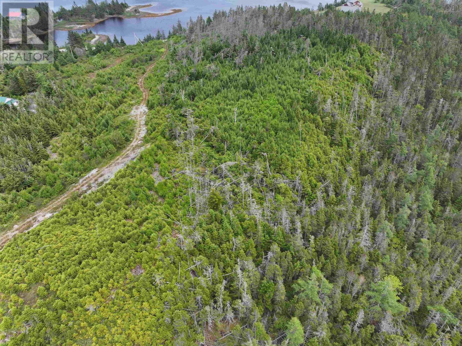 Lot 1 Mackinley Point Road, Spanish Ship Bay, Nova Scotia  B0J 1A0 - Photo 16 - 202502542