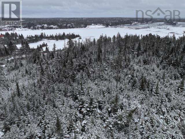 Lot 1 Mackinley Point Road, Spanish Ship Bay, Nova Scotia  B0J 1A0 - Photo 50 - 202502542