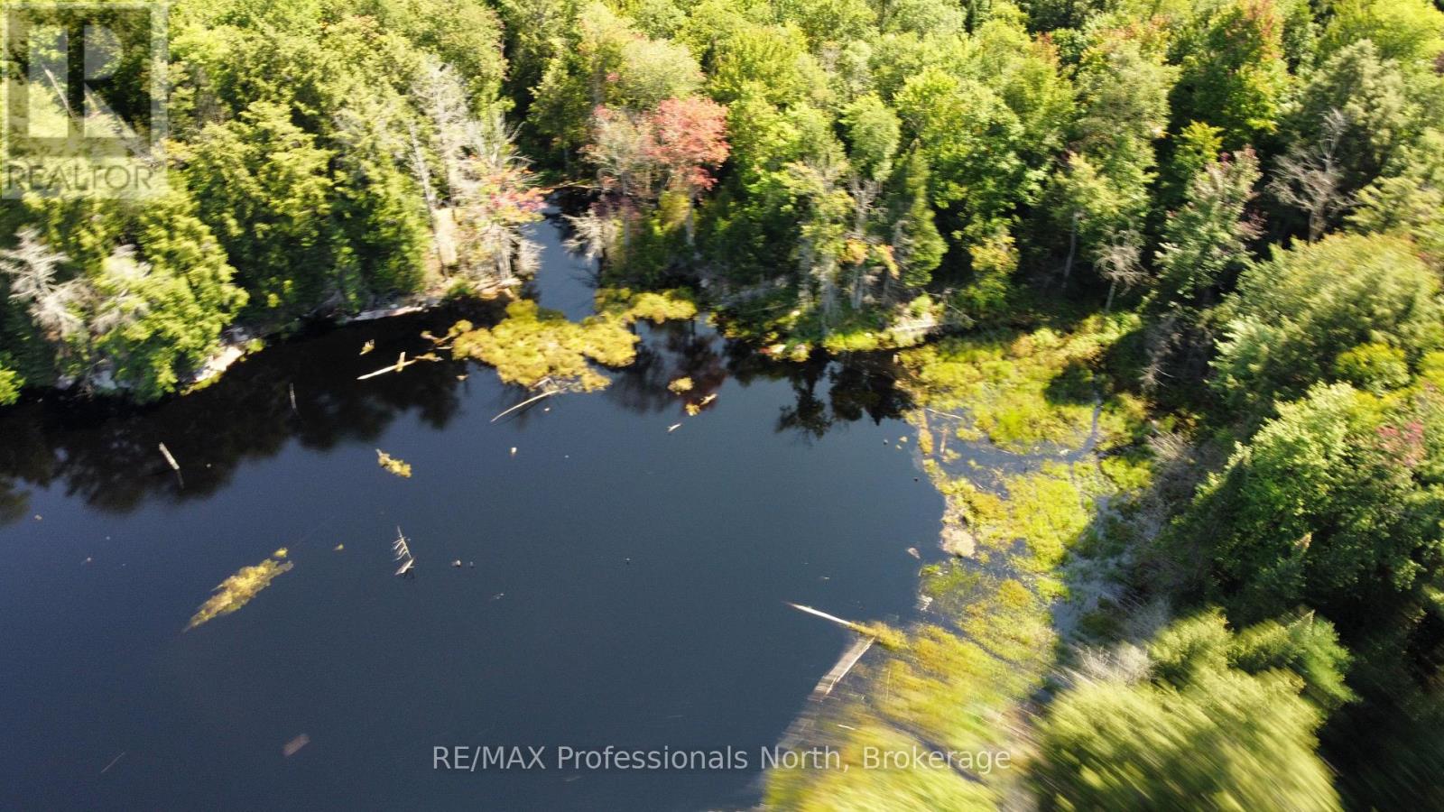 Lot 32 Concession 5, Bracebridge (Oakley), Ontario  P1L 1X1 - Photo 24 - X12252925