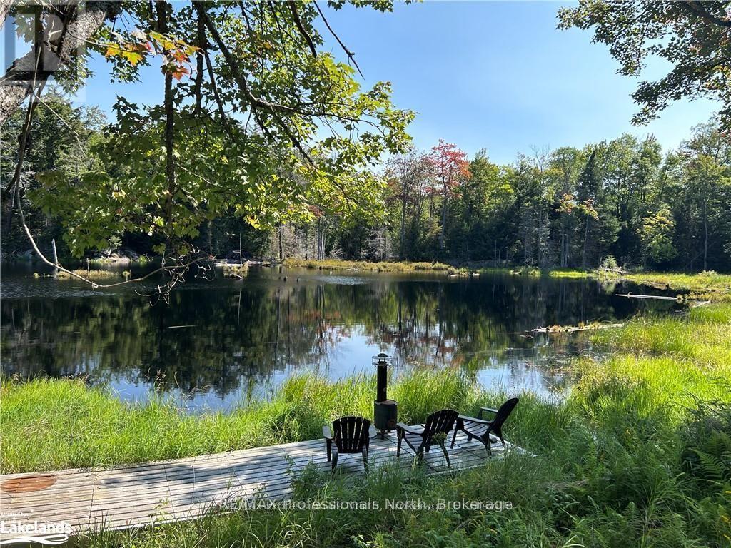 Lot 32 Concession 5, Bracebridge (Oakley), Ontario  P1L 1X1 - Photo 16 - X12252925