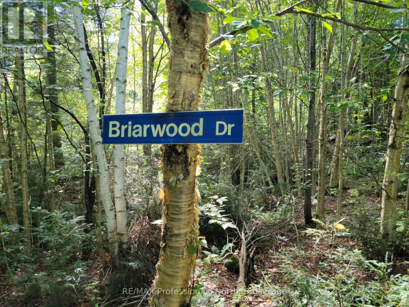 Lot 32 Concession 5, Bracebridge (Oakley), Ontario  P1L 1X1 - Photo 21 - X12252925