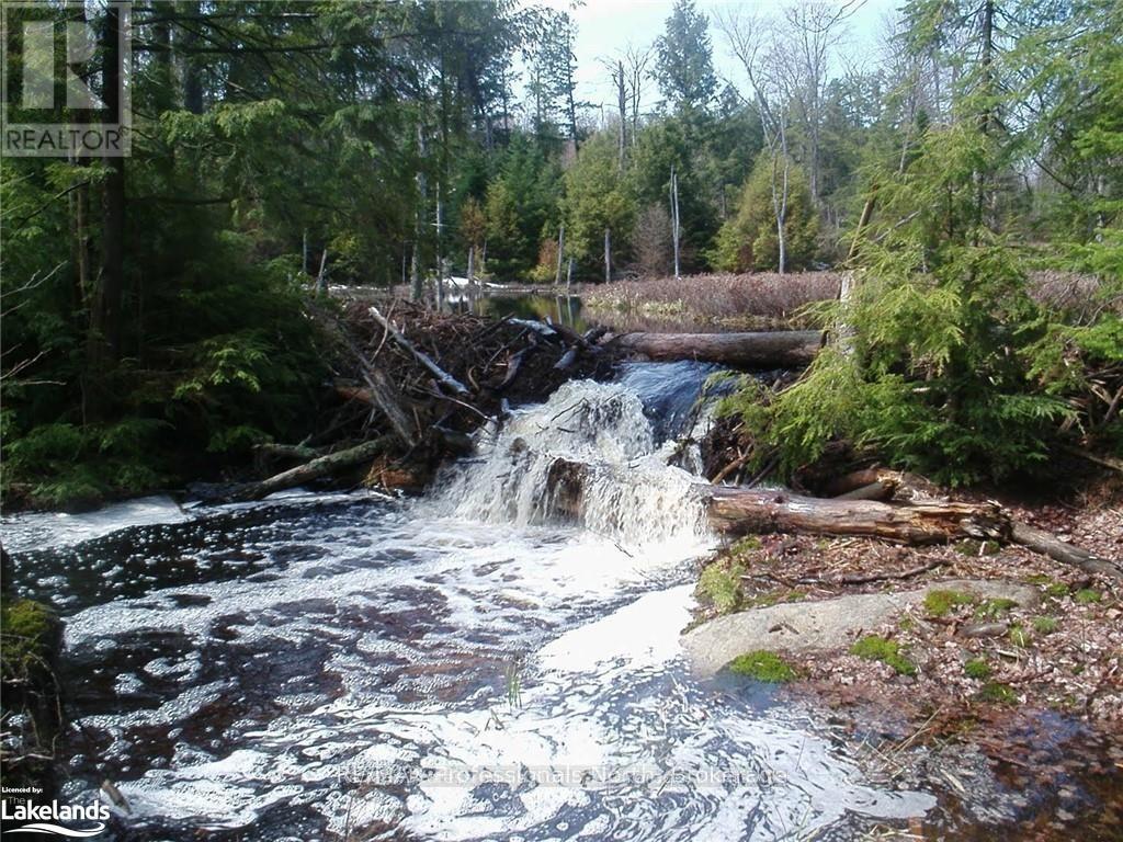 Lot 32 Concession 5, Bracebridge (Oakley), Ontario  P1L 1X1 - Photo 18 - X12252925