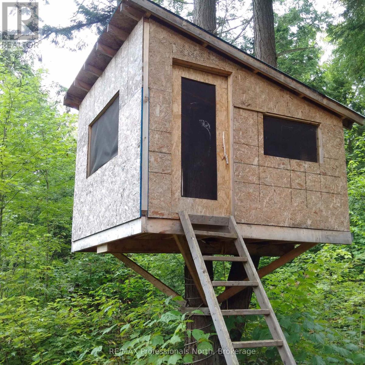 Lot 32 Concession 5, Bracebridge (Oakley), Ontario  P1L 1X1 - Photo 23 - X12252925