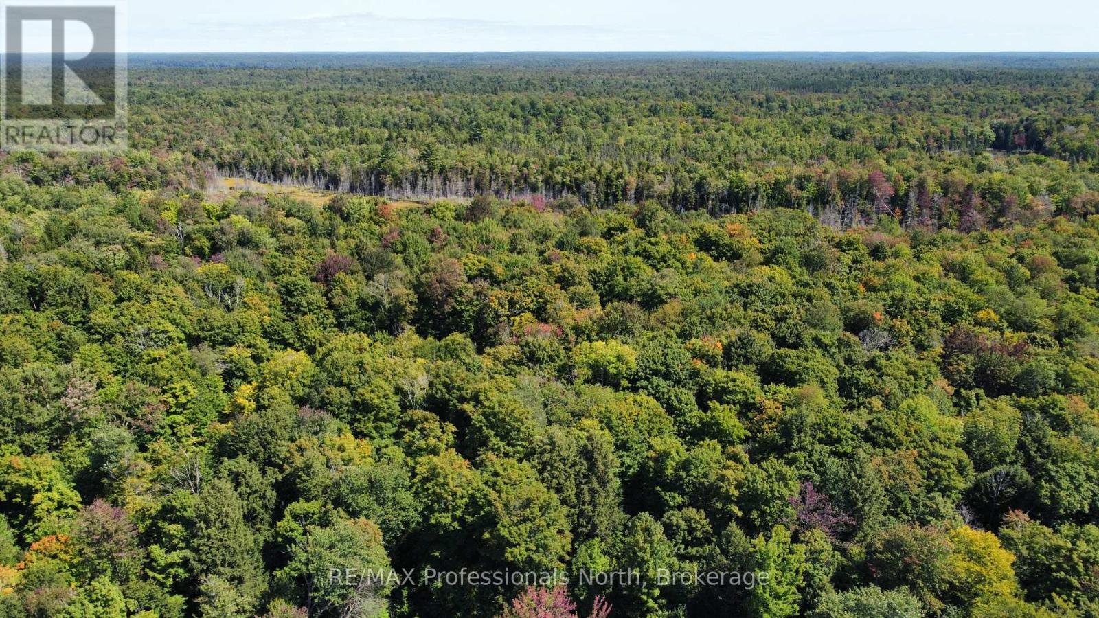 Lot 32 Concession 5, Bracebridge (Oakley), Ontario  P1L 1X1 - Photo 25 - X12252925
