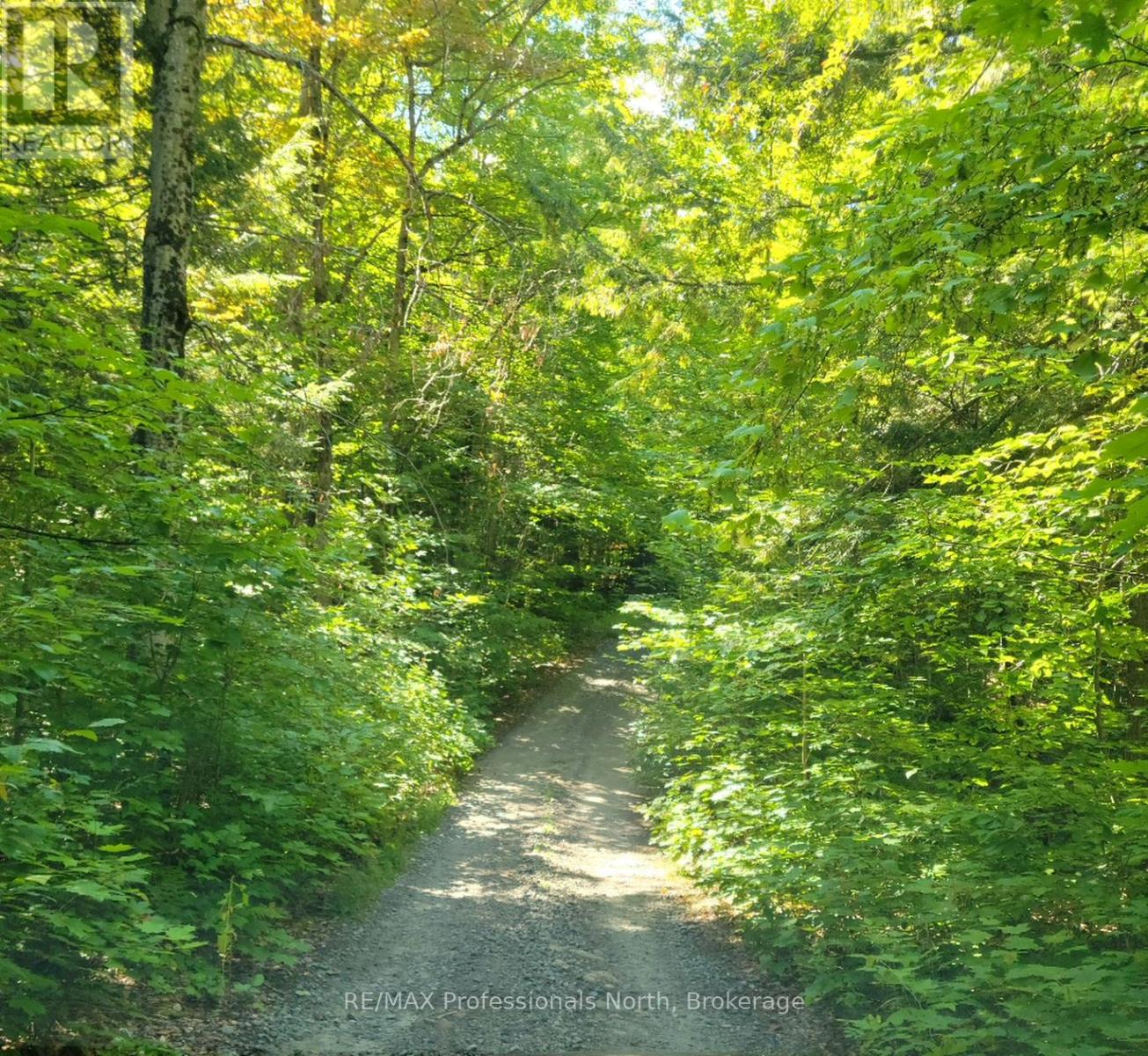 Lot 32 Concession 5, Bracebridge (Oakley), Ontario  P1L 1X1 - Photo 20 - X12252925