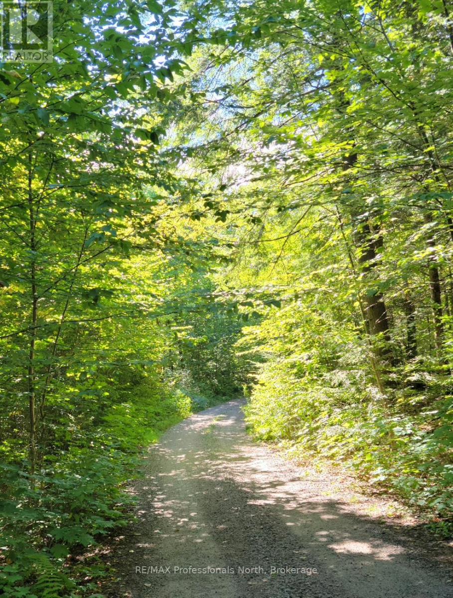 Lot 32 Concession 5, Bracebridge (Oakley), Ontario  P1L 1X1 - Photo 22 - X12252925