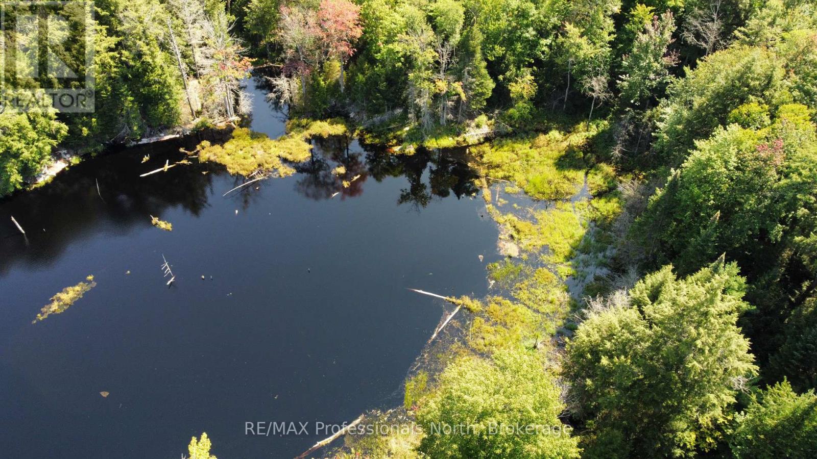 Lot 32 Concession 5, Bracebridge (Oakley), Ontario  P1L 1X1 - Photo 26 - X12252925