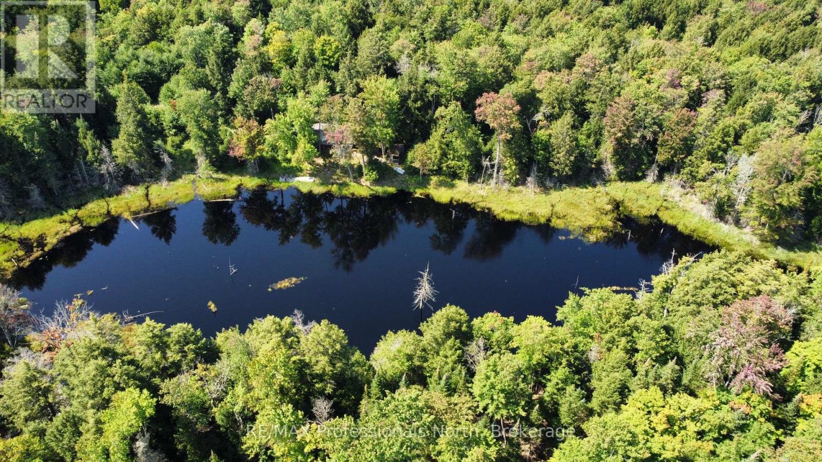 Lot 32 Concession 5, Bracebridge (Oakley), Ontario  P1L 1X1 - Photo 30 - X12252925