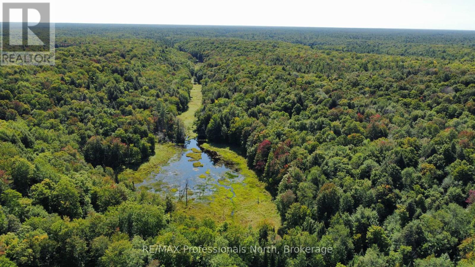 Lot 32 Concession 5, Bracebridge (Oakley), Ontario  P1L 1X1 - Photo 31 - X12252925