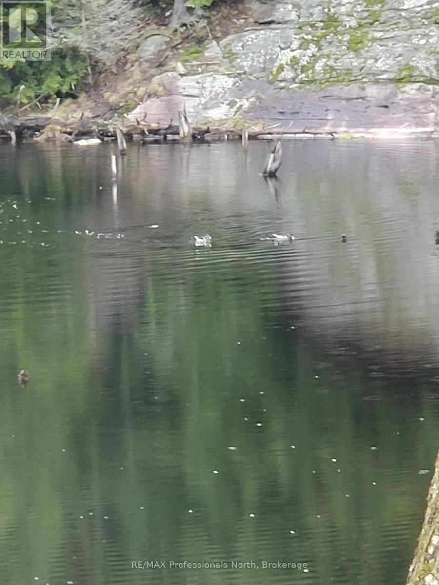 Lot 32 Concession 5, Bracebridge (Oakley), Ontario  P1L 1X1 - Photo 37 - X12252925