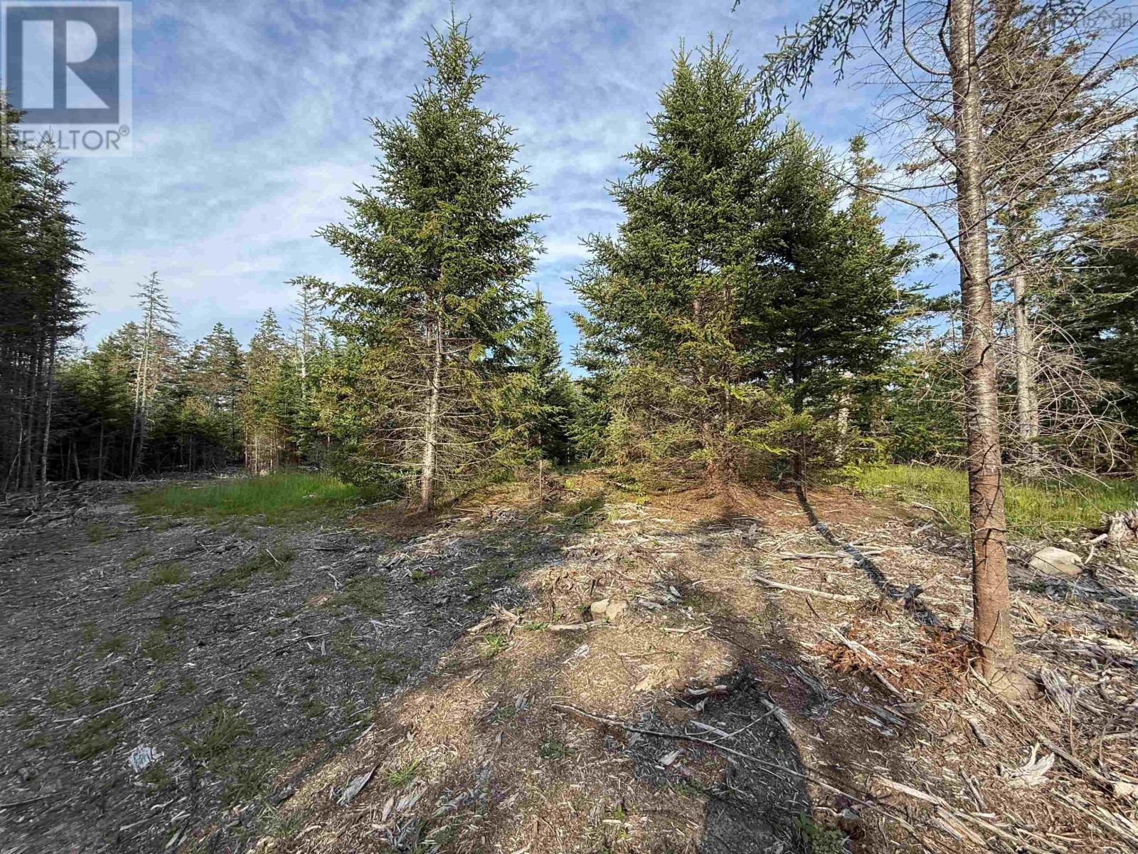 Lot East Sable, East Sable River, Nova Scotia  B0T 1V0 - Photo 10 - 202518658