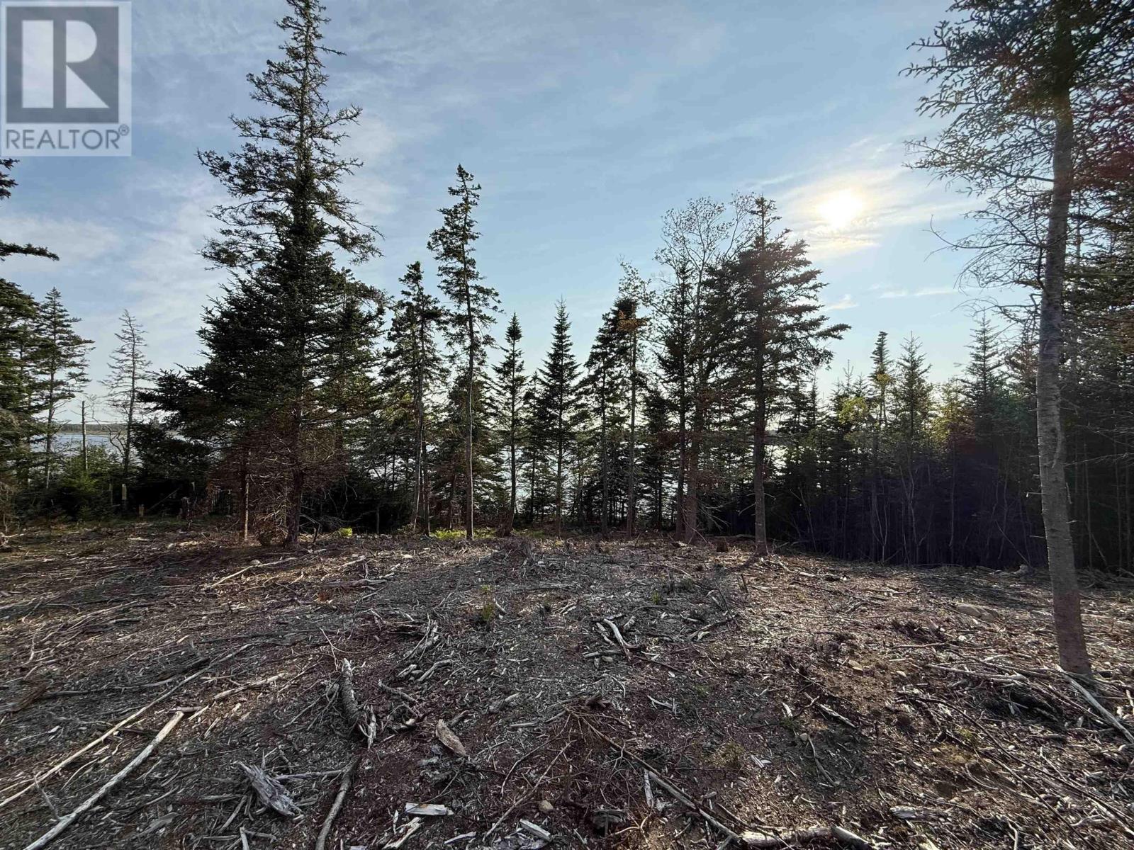 Lot East Sable, East Sable River, Nova Scotia  B0T 1V0 - Photo 14 - 202518658