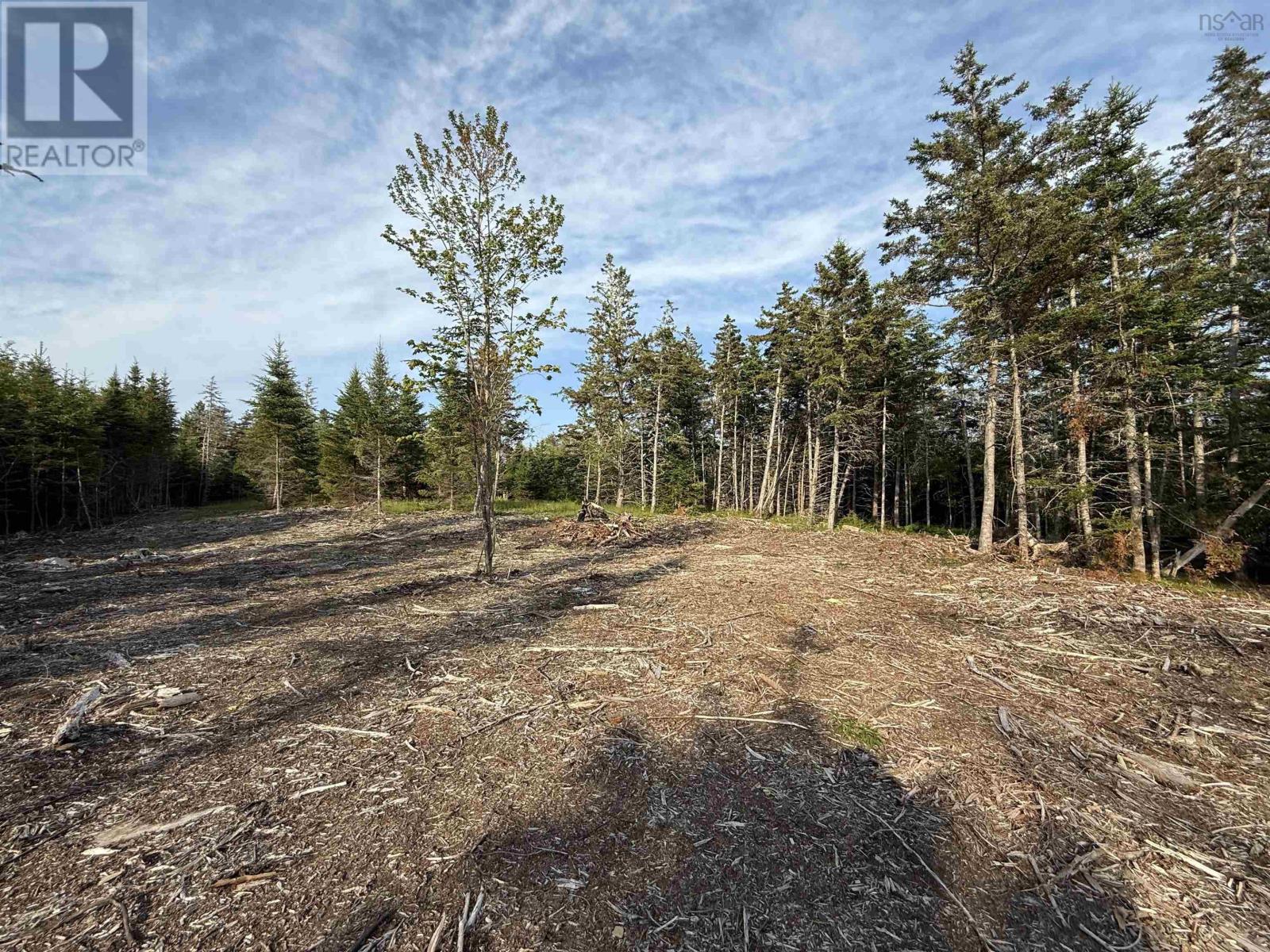 Lot East Sable, East Sable River, Nova Scotia  B0T 1V0 - Photo 16 - 202518658