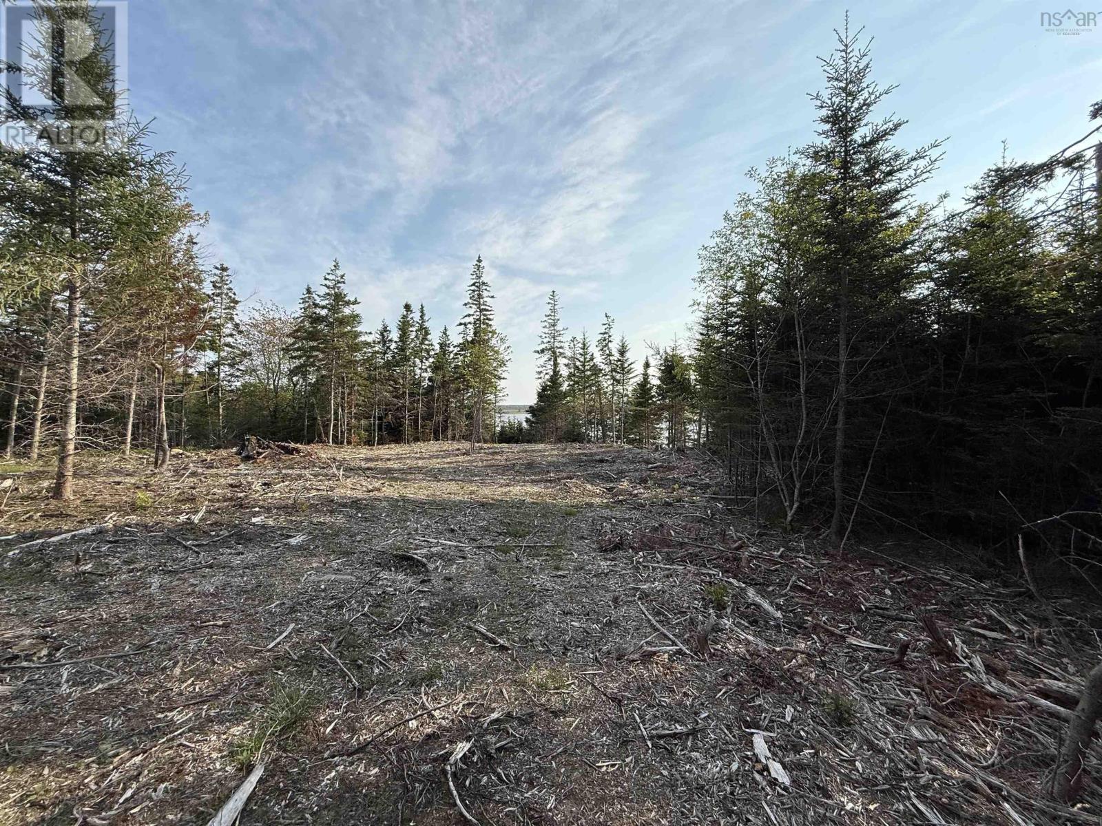 Lot East Sable, East Sable River, Nova Scotia  B0T 1V0 - Photo 11 - 202518658