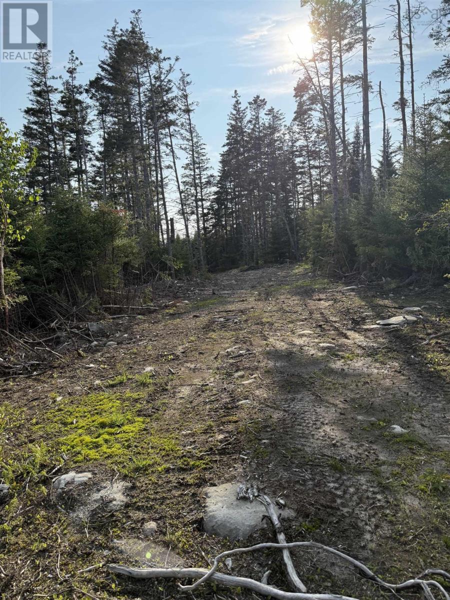 Lot East Sable, East Sable River, Nova Scotia  B0T 1V0 - Photo 6 - 202518658
