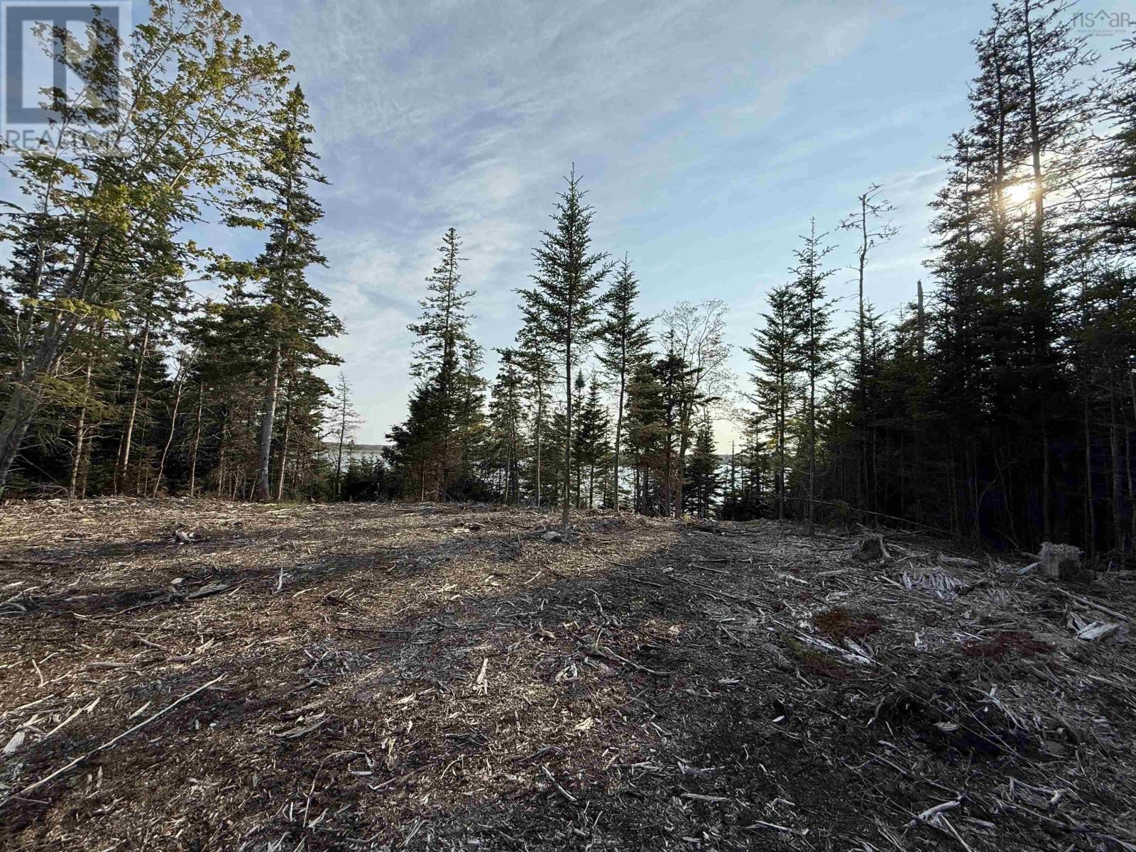 Lot East Sable, East Sable River, Nova Scotia  B0T 1V0 - Photo 13 - 202518658