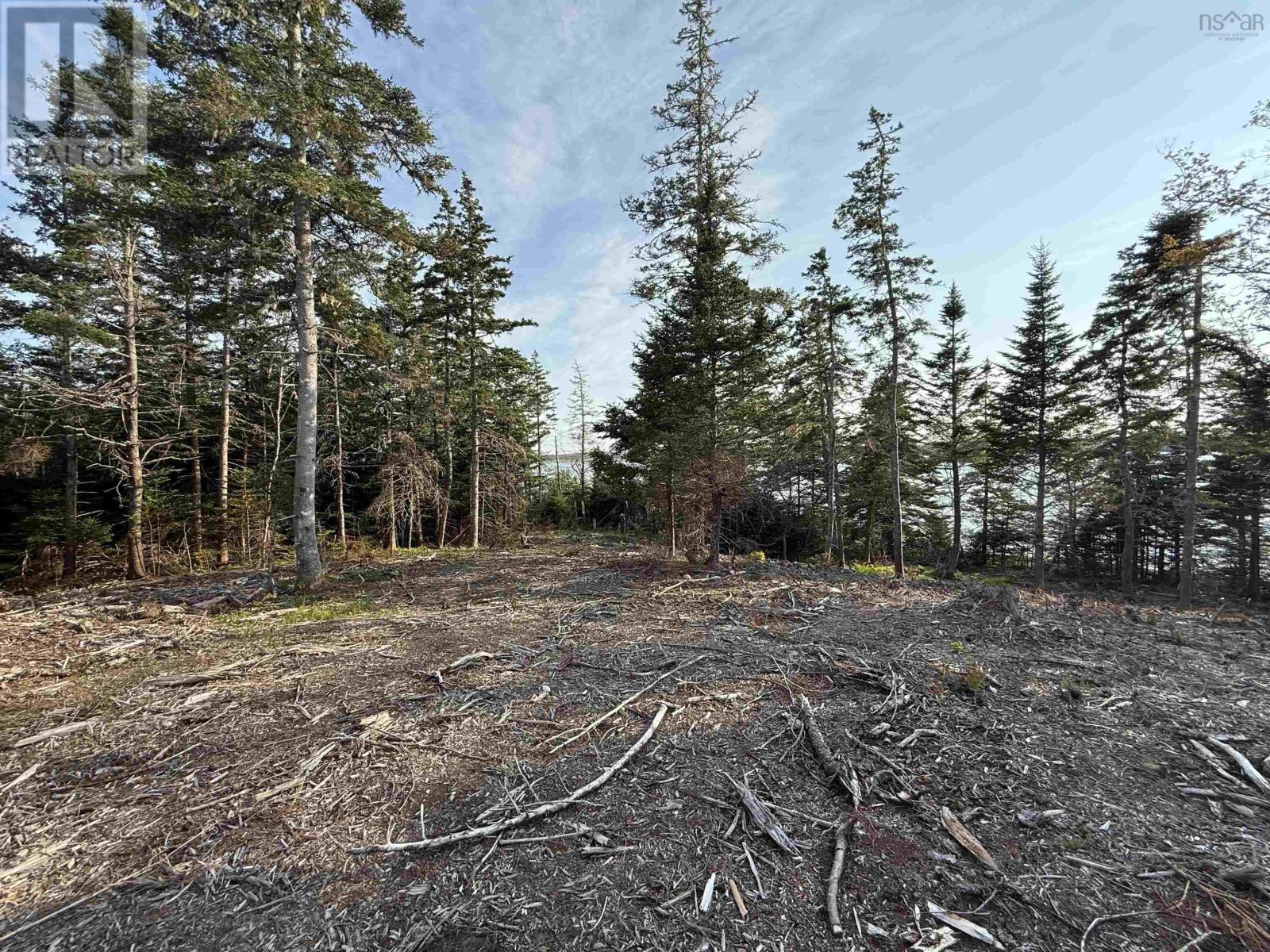 Lot East Sable, East Sable River, Nova Scotia  B0T 1V0 - Photo 15 - 202518658