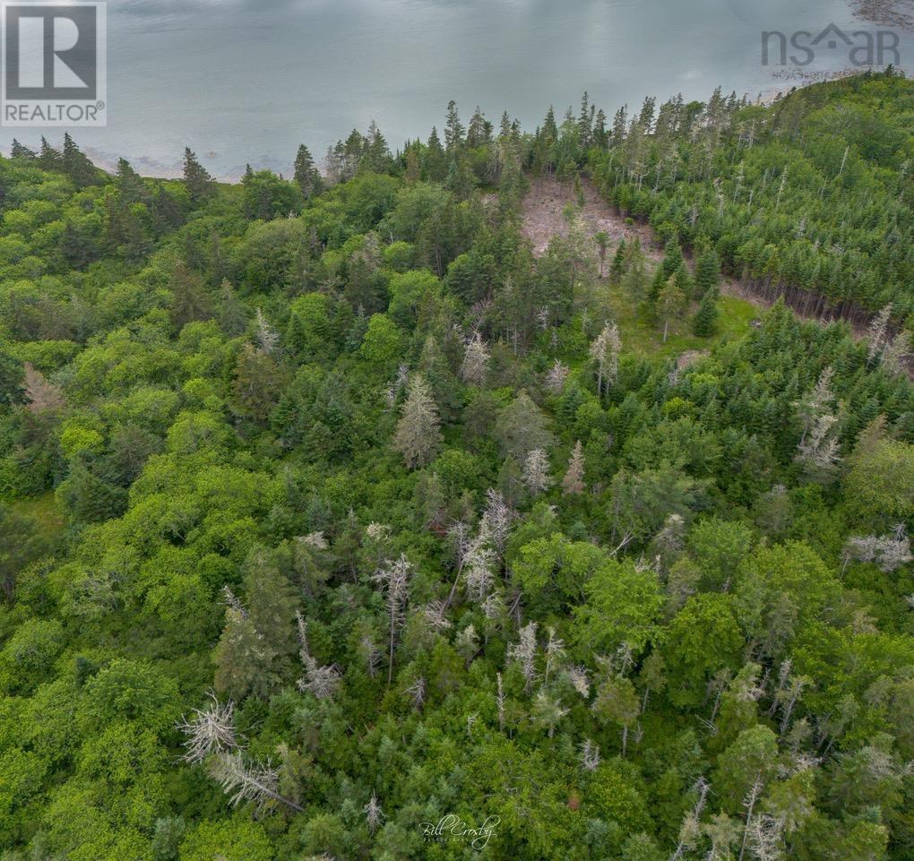 Lot East Sable, East Sable River, Nova Scotia  B0T 1V0 - Photo 8 - 202518658