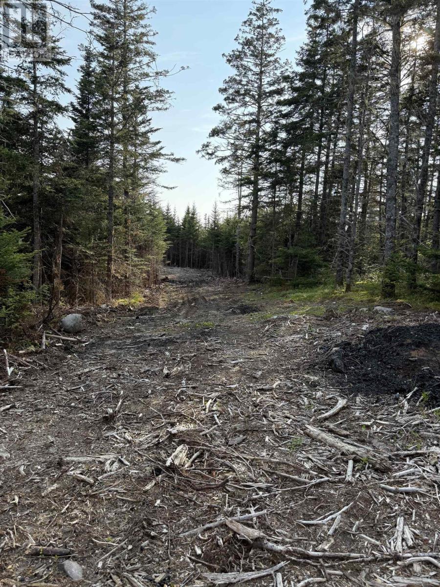 Lot East Sable, East Sable River, Nova Scotia  B0T 1V0 - Photo 7 - 202518658