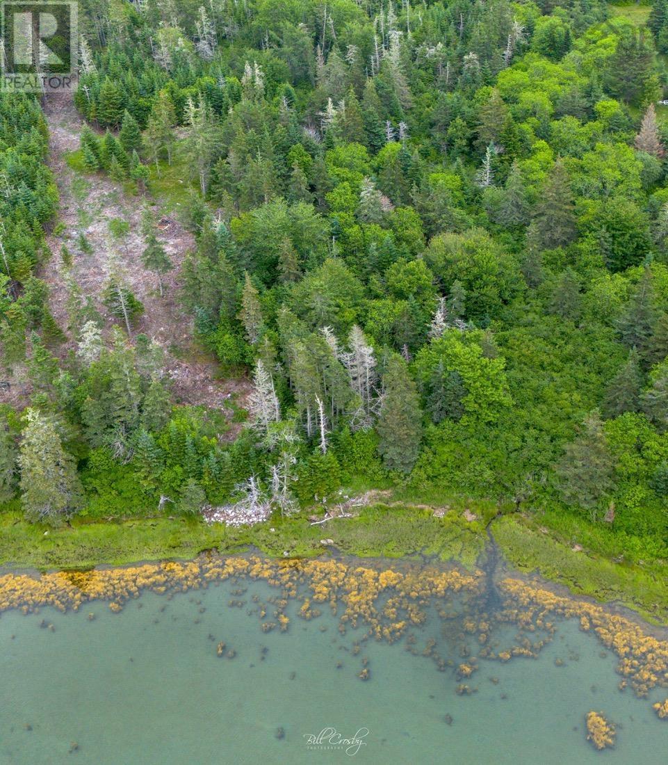 Lot East Sable, East Sable River, Nova Scotia  B0T 1V0 - Photo 3 - 202518658