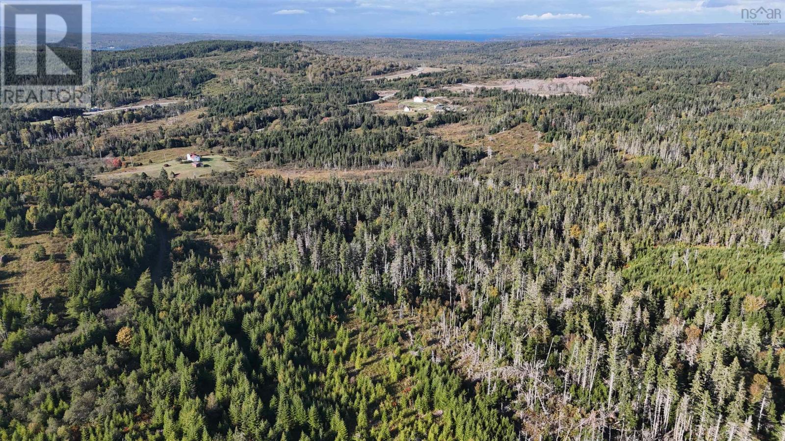 Lynches River Road, St. Peter's, Nova Scotia  B0E 3B0 - Photo 19 - 202518862