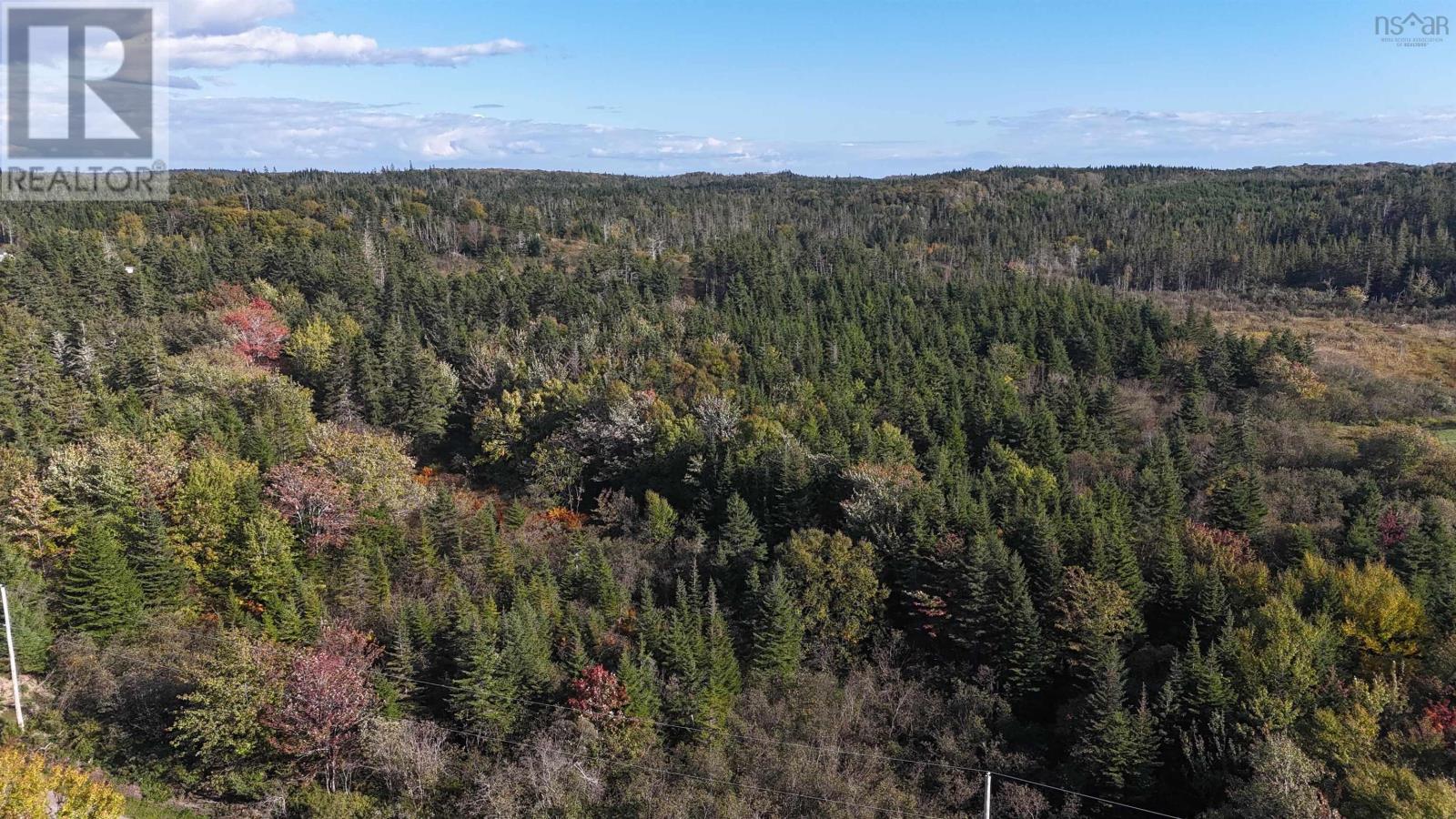 Lynches River Road, St. Peter's, Nova Scotia  B0E 3B0 - Photo 3 - 202518862