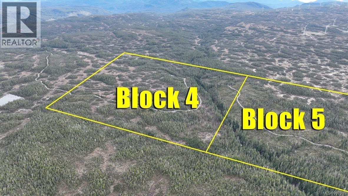 1 Cape Sutil Holberg (Off) Hwy, Port Hardy, British Columbia  V0N 2P0 - Photo 3 - 997918