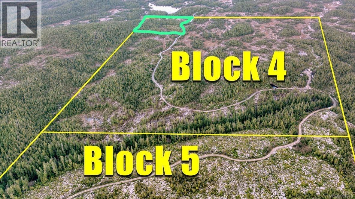 1 Cape Sutil Holberg (Off) Hwy, Port Hardy, British Columbia  V0N 2P0 - Photo 2 - 997918