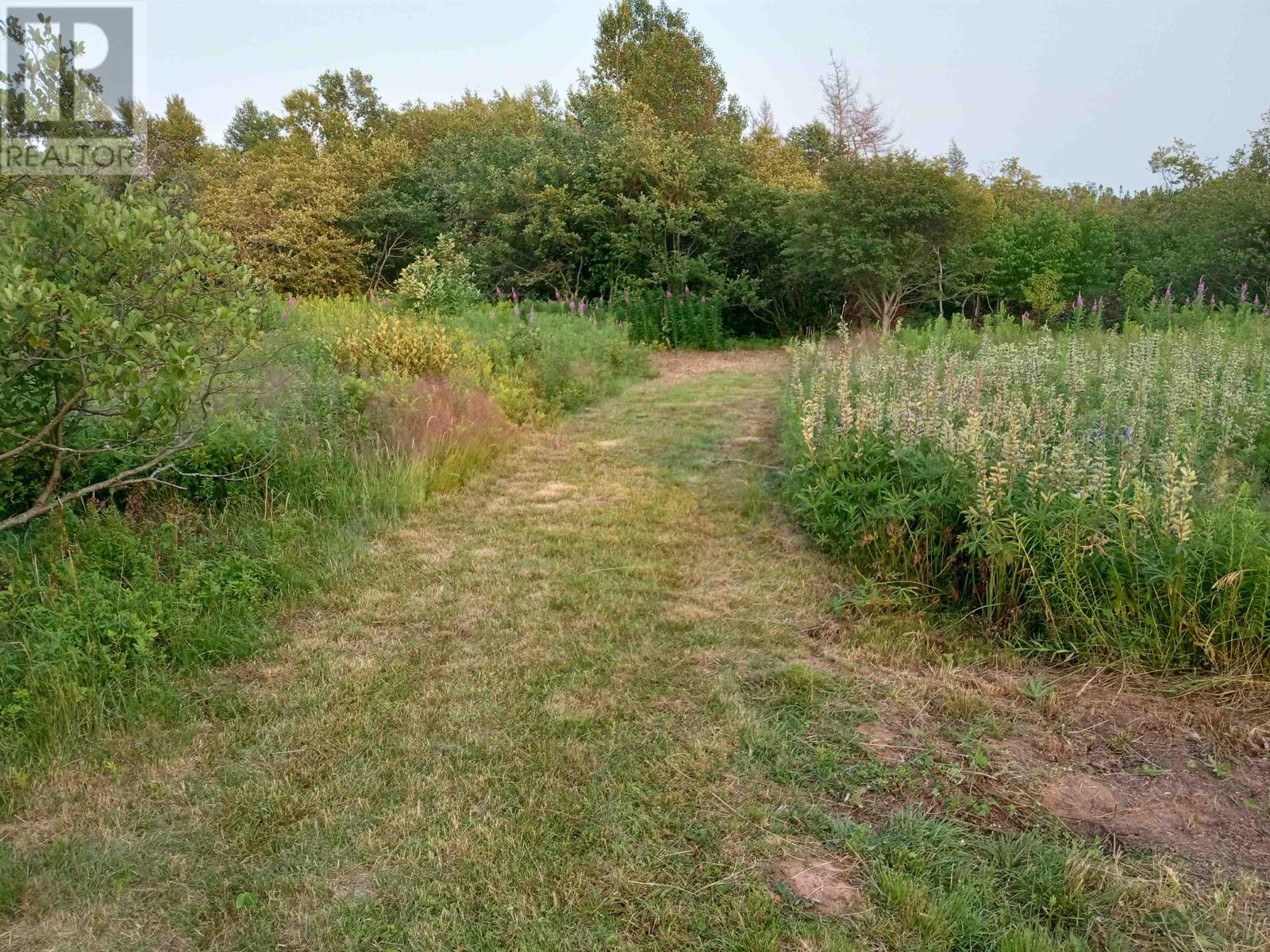 Lot 2 Route 310, C0b2b0, Bay Fortune, Prince Edward Island  C0B 2B0 - Photo 15 - 202518187