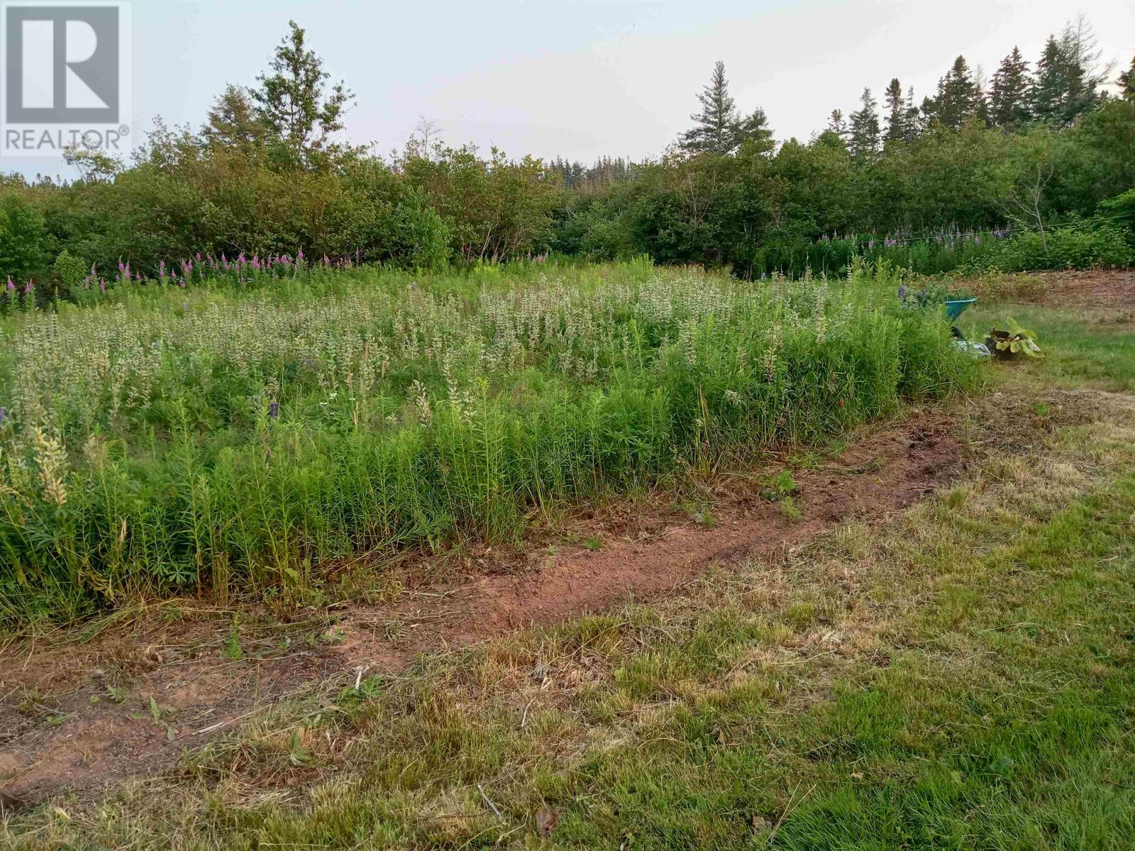Lot 2 Route 310, C0b2b0, Bay Fortune, Prince Edward Island  C0B 2B0 - Photo 28 - 202518187