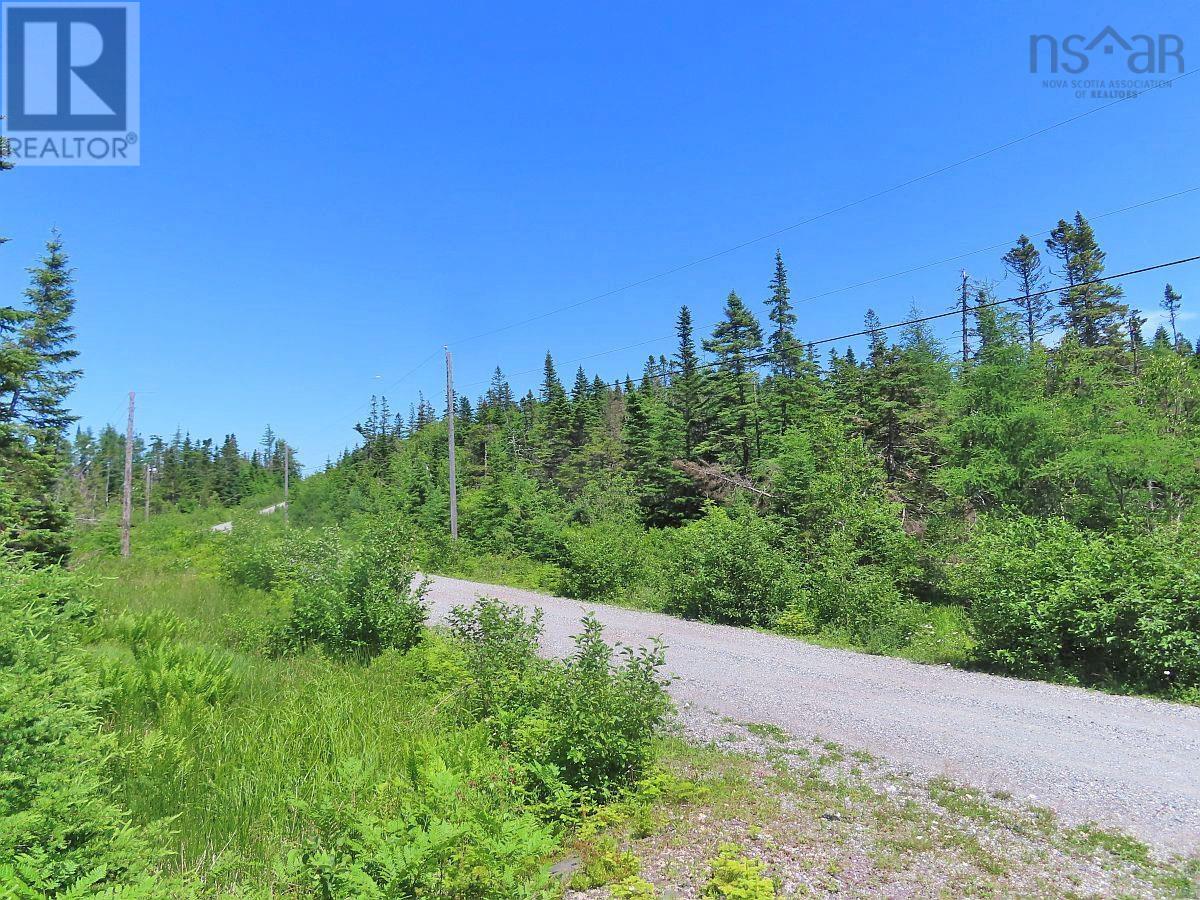 Lot 19 Joanne Langford Drive, French Road, Nova Scotia  B1K 3P9 - Photo 19 - 202518867