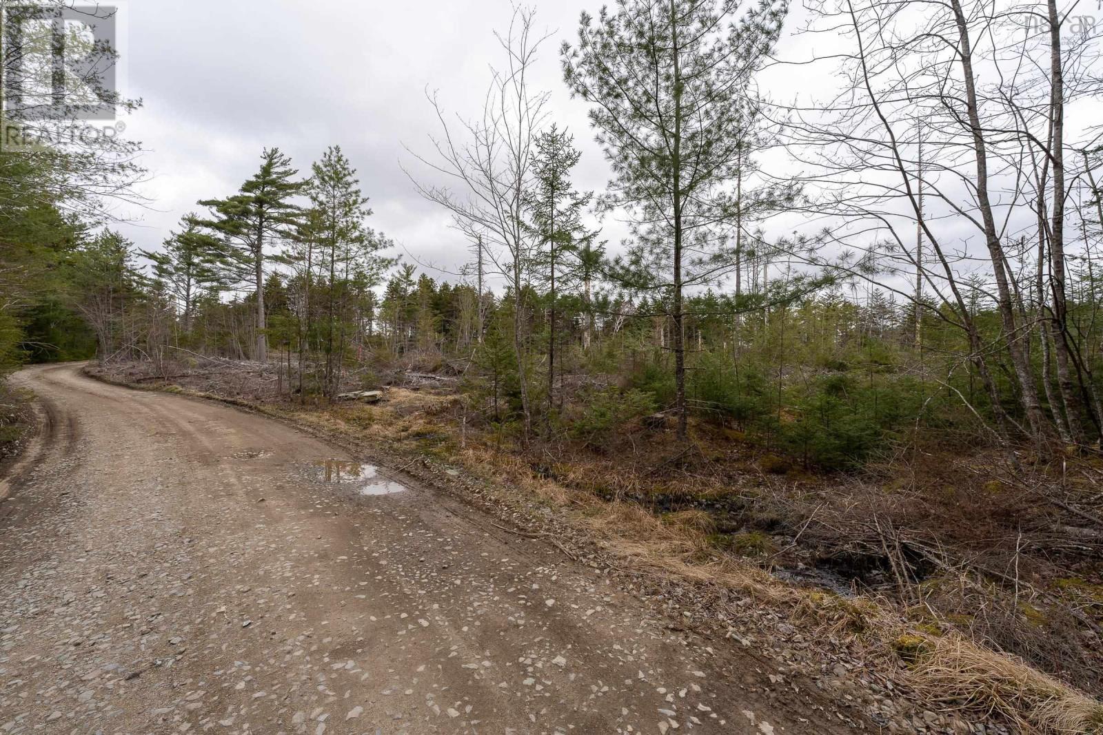 Lot 12 Patrice Road, Corberrie, Nova Scotia  B0W 3T0 - Photo 4 - 202509276