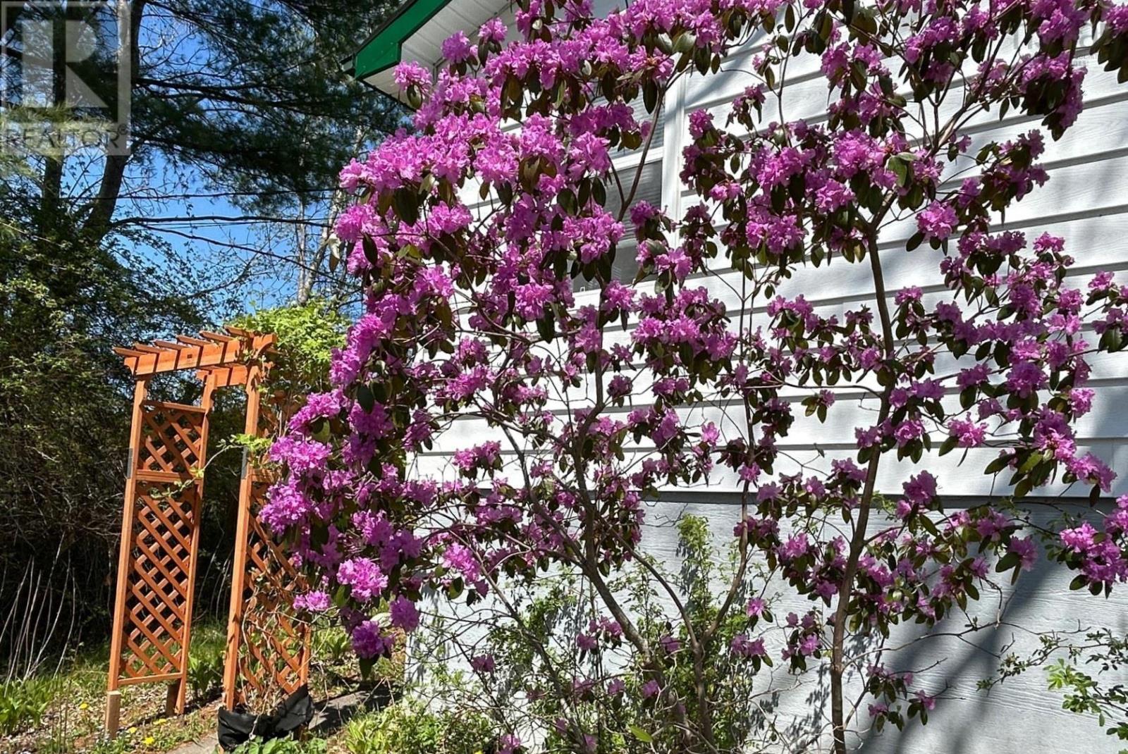 500 Mader's Cove Road, Maders Cove, Nova Scotia  B0J 2E0 - Photo 32 - 202513525
