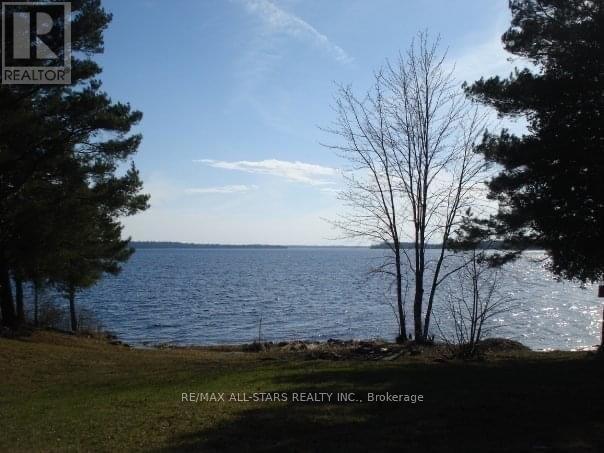 160 Alpine Lake Road, Trent Lakes, Ontario  K0M 1A0 - Photo 29 - X12293684
