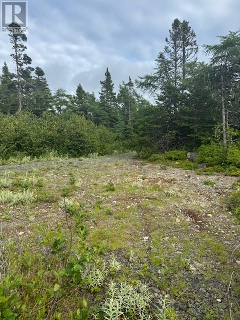 19 Island Pond Road, Spread Eagle, Newfoundland & Labrador  A0B 2W0 - Photo 1 - 1288427