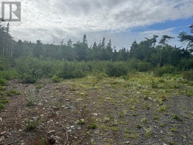 19 Island Pond Road, Spread Eagle, Newfoundland & Labrador  A0B 2W0 - Photo 2 - 1288427