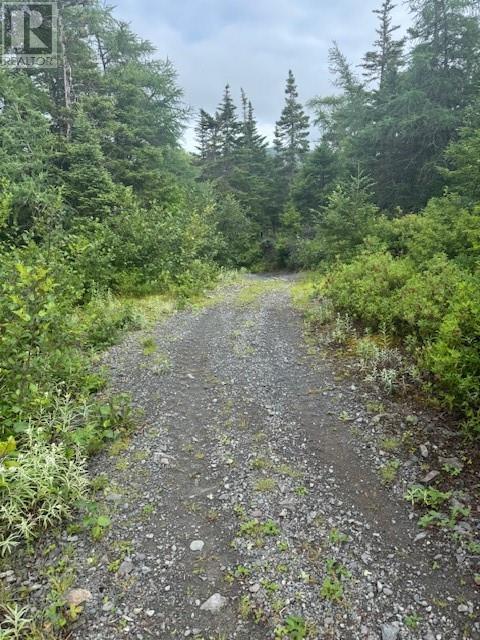 19 Island Pond Road, Spread Eagle, Newfoundland & Labrador  A0B 2W0 - Photo 3 - 1288427