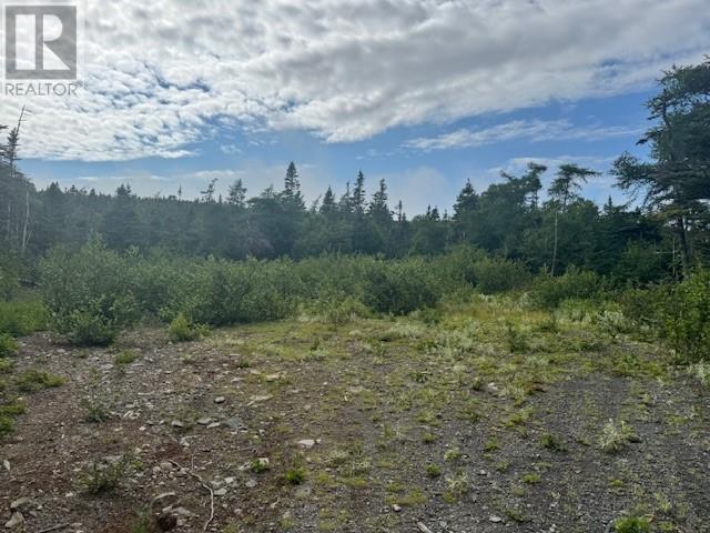 19 Island Pond Road, Spread Eagle, Newfoundland & Labrador  A0B 2W0 - Photo 4 - 1288427