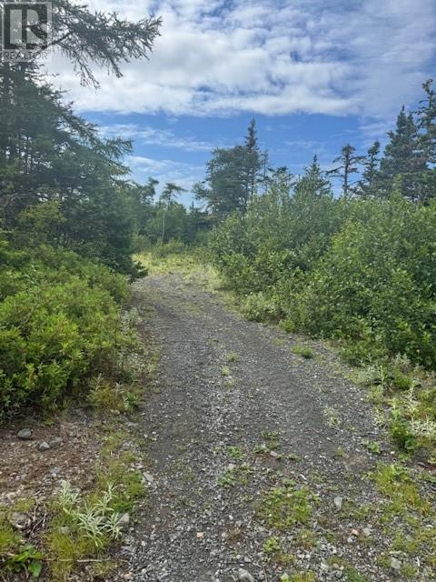 19 Island Pond Road, Spread Eagle, Newfoundland & Labrador  A0B 2W0 - Photo 5 - 1288427