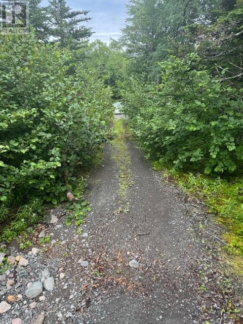 19 Island Pond Road, Spread Eagle, Newfoundland & Labrador  A0B 2W0 - Photo 6 - 1288427