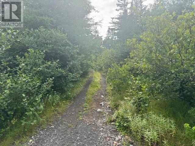 19 Island Pond Road, Spread Eagle, Newfoundland & Labrador  A0B 2W0 - Photo 7 - 1288427